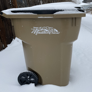 Town-branded trash bin